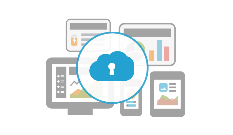 Security measures and extensive management capabilities